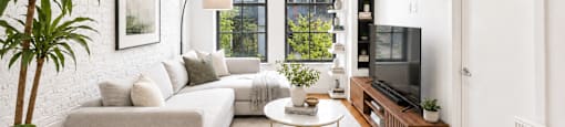 A living room with a white couch, a television, and a plant.