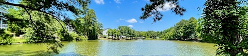 a view of a lake surrounded by trees