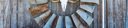 a wall with aostaostaosta skull on a wooden wall