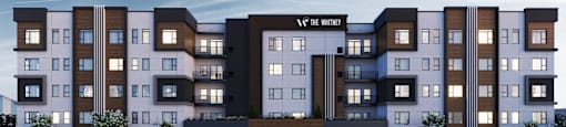 The Whitney-Exterior Rendering