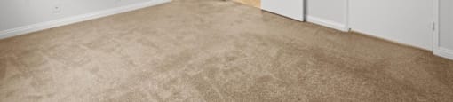 A room with a ceiling fan and carpeted floor.