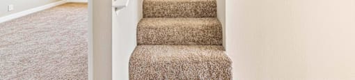 Carpeted staircase with white walls and handrail at Joro Properties Apartments, Hollywood, CA 90046