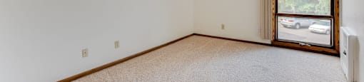 Plush Carpeting at Wayzata Woods Apartments, Minnesota, 55391