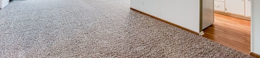 Carpeted Living Area at Wayzata Woods Apartments, Wayzata, 55391