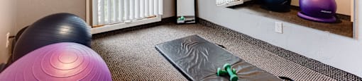 Fitness Studio at Wayzata Woods Apartments, Wayzata, 55391