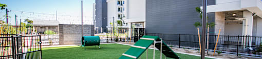Pet park with artificial grass and agility equipment