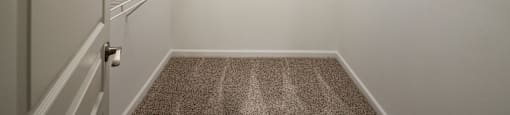 a spacious walk in closet with hanging racks and carpeted flooring