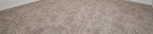 an empty living room with carpet and a window