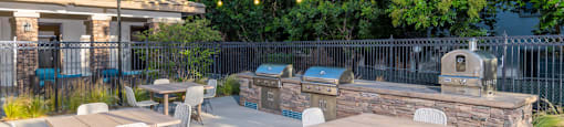 BBQ and Pizza Cooker