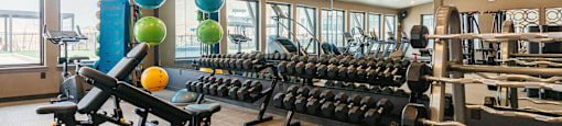 A gym with a variety of equipment including dumbbells, weight plates, and a bench press.