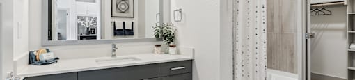a bathroom with a sink and a shower and a mirror