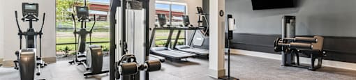 the gym in the owners suite has treadmills and other fitness equipment