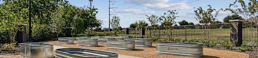stainless steel planters for community garden