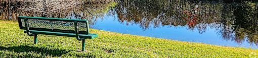 A green bench sits in front of a lake with trees in the background.