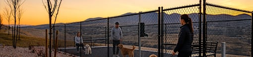 A woman walks her dog in a park at sunset.