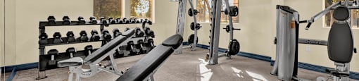 a gym with weights and cardio equipment at the enclave at