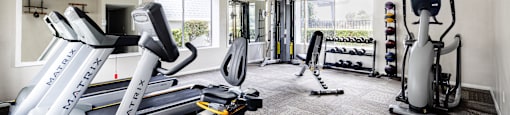 the gym at lexington townhomes