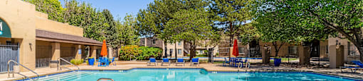 A large swimming pool surrounded by trees and sun loungers.