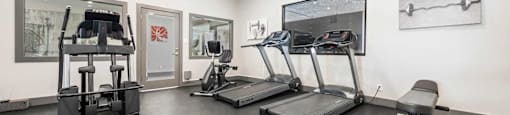 the gym in the owners home