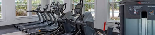 a row of cardio machines in a gym with windows
