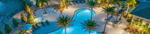 a resort style swimming pool with palm trees and umbrellas at night