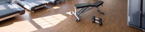 a gym full of cardio equipment and windows