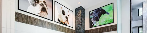 A bathroom with a white tiled floor and walls, a black and white striped column, and a large screen displaying a black dog.