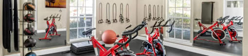 A gym with a row of red stationary bikes.