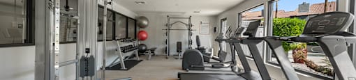 A gym with treadmills, weights, and exercise equipment.