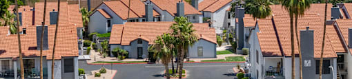 A sunny day in a residential area with palm trees and apartments at Serafina.