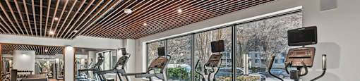Renovated Fitness Center with treadmills and elliptical machines.