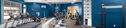 a gym with cardio equipment and weights on the floor and blue walls