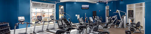 a gym with treadmills and other exercise equipment