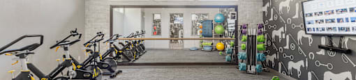 the gym at summerly at Zanjero