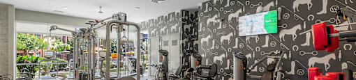 a spacious fitness center with cardio machines and other exercise equipment