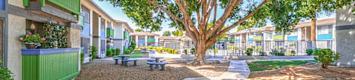 A courtyard with benches and trees in front of apartment homes at Westmount at Urban Trails, Mesa, 85202
