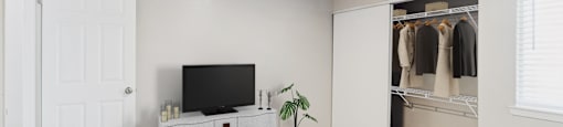 A bedroom with a bed, a television, and a closet.