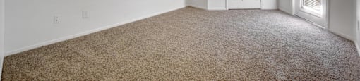 A room with a ceiling fan and carpeted floor.