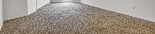 A room with a carpeted floor and a ceiling fan.