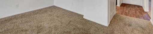 A room with a carpeted floor and a hanging light fixture.