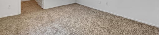 A room with a carpeted floor and a window letting in natural light.