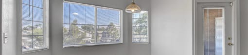 A room with a carpeted floor, a door, and a window with blinds.