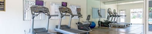 A gym with treadmills and elliptical machines.