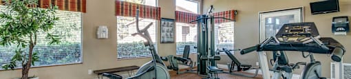 A room with a treadmill, exercise bike, and other workout equipment.