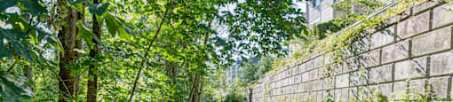 walking trail near community