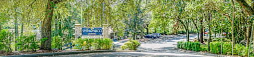 Tree Lined Street at Springwood Townhomes, Tallahassee, Florida