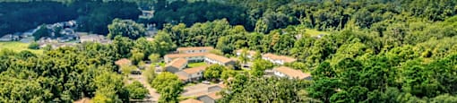Aerial view of Neighborhood at Springwood Townhomes, Florida