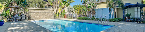 A swimming pool surrounded by palm trees and a patio area. at Westminster Chase Apartments, Apartments, Tampa, FL