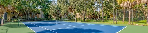 A tennis court surrounded by trees on a sunny day.