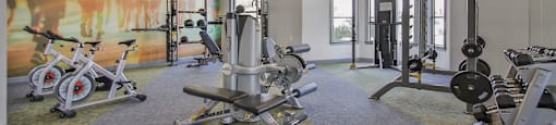 a gym with weights and exercise equipment in a building with a mural at Sladestone Shadow Creek, Texas, 77584